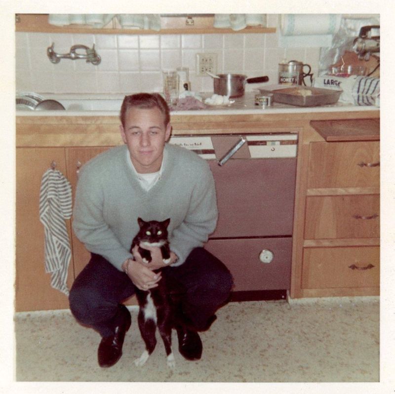 Kitchen Designs from the 1960s