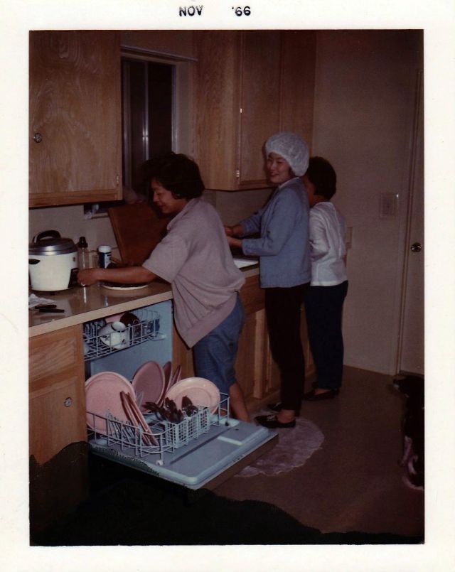 Kitchen Designs from the 1960s