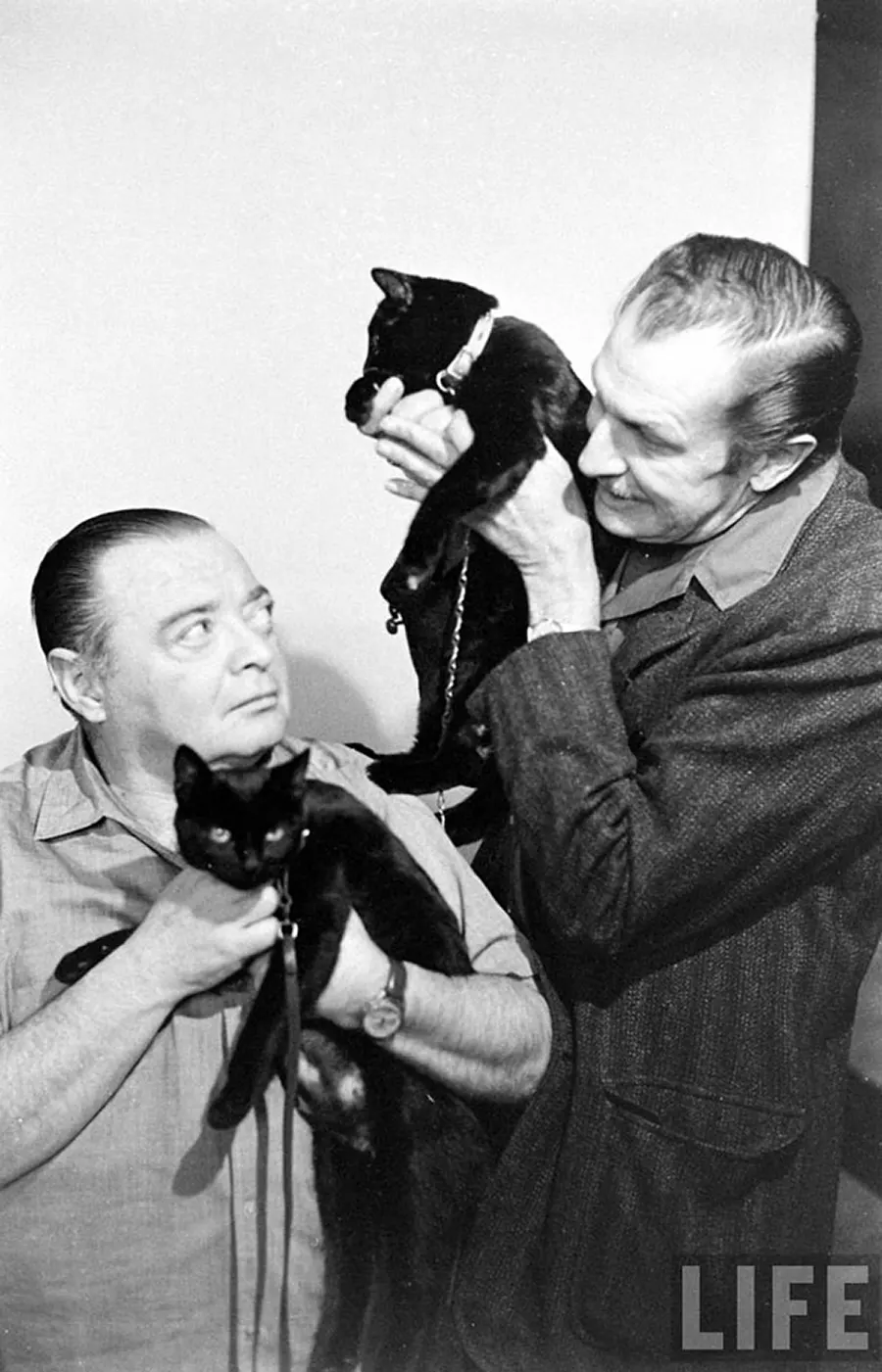 black cat audition hollywood