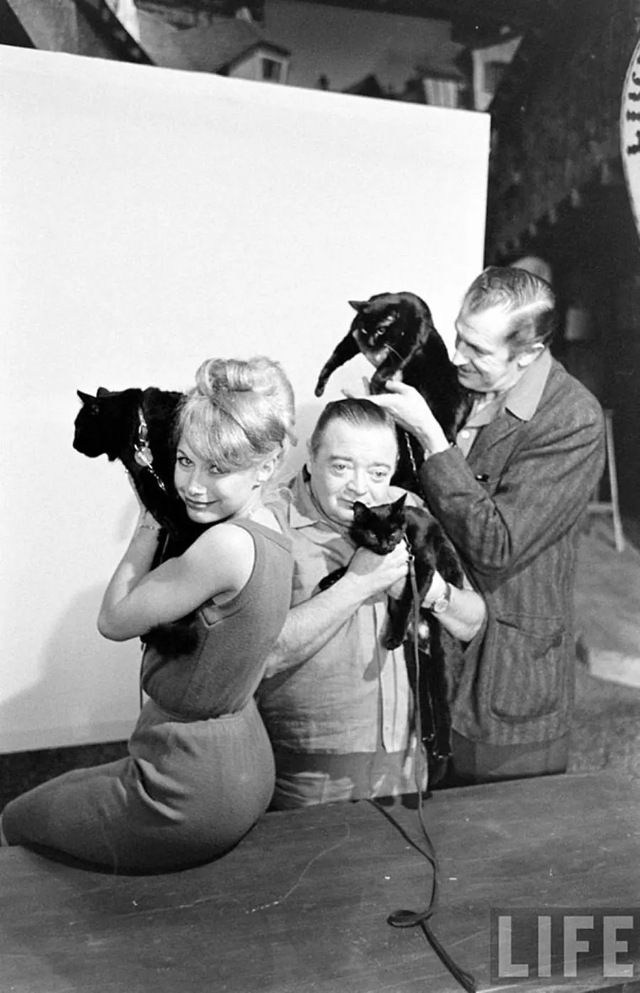 black cat audition hollywood
