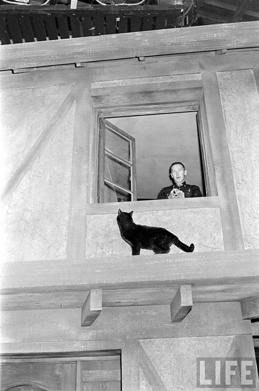 black cat audition hollywood