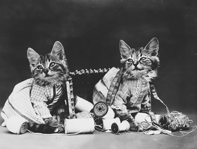 vintage baby animal photos by Harry Frees