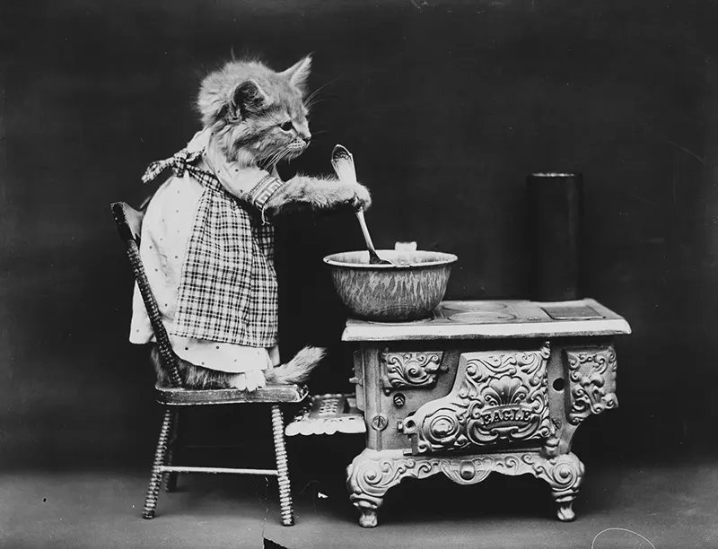 vintage baby animal photos by Harry Frees