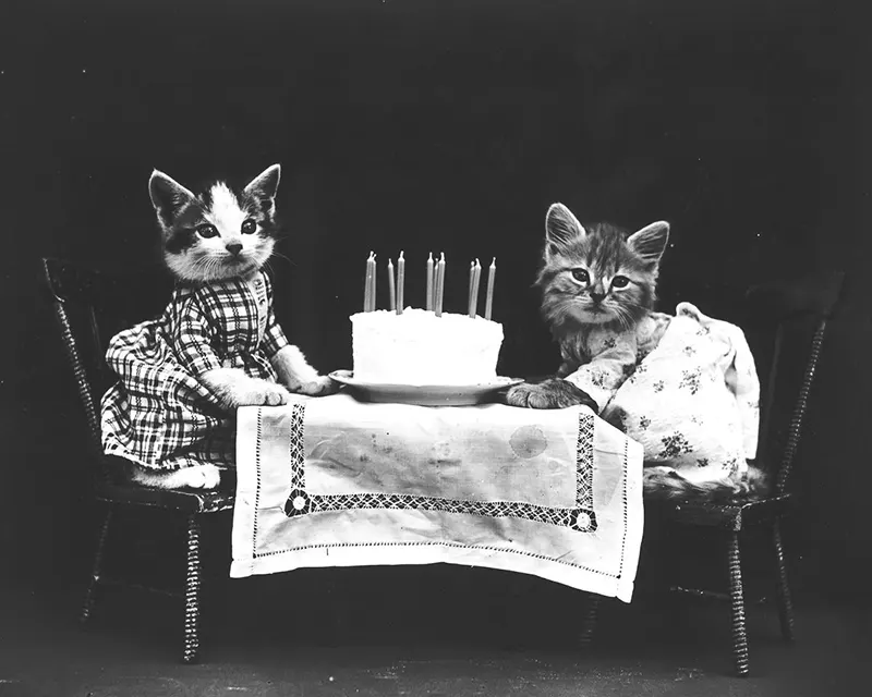 vintage baby animal photos by Harry Frees