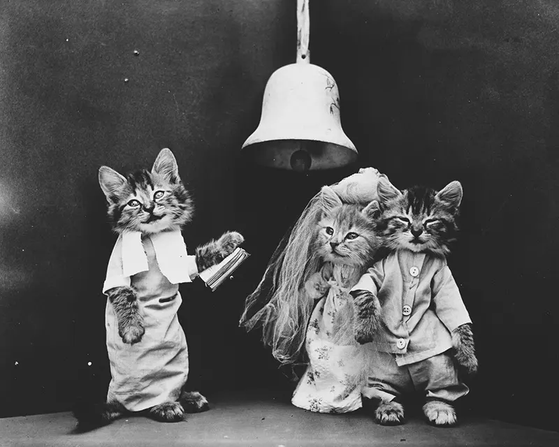 vintage baby animal photos by Harry Frees
