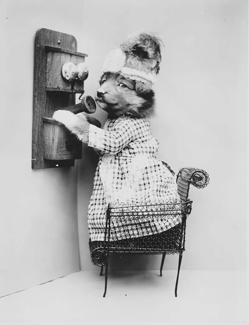 vintage baby animal photos by Harry Frees