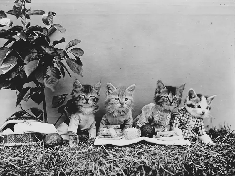 vintage baby animal photos by Harry Frees