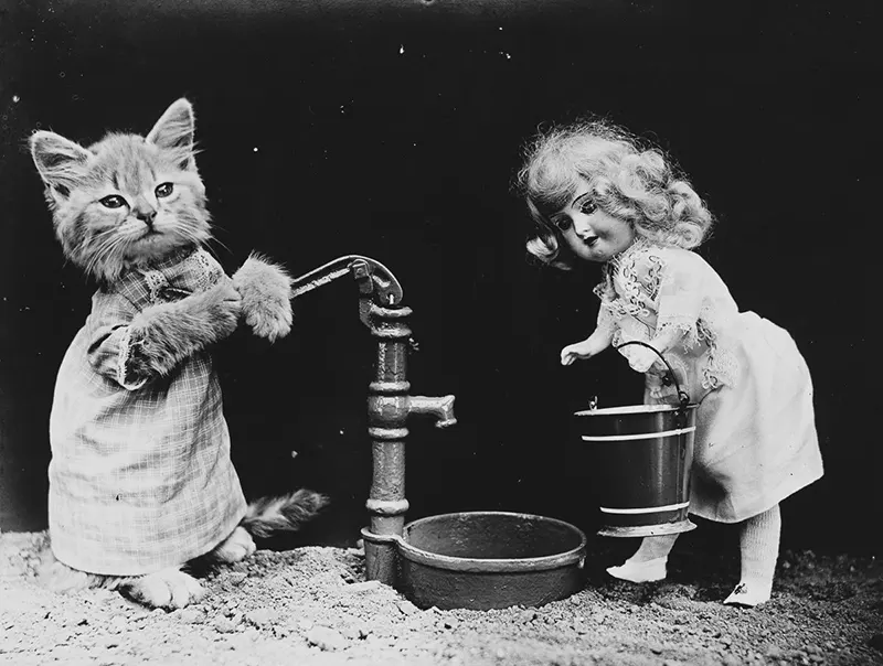 vintage baby animal photos by Harry Frees