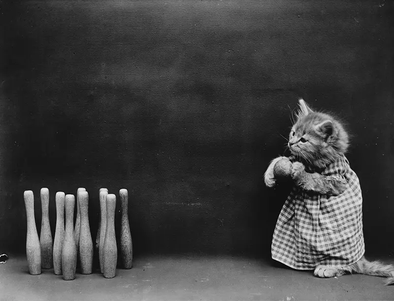 vintage baby animal photos by Harry Frees
