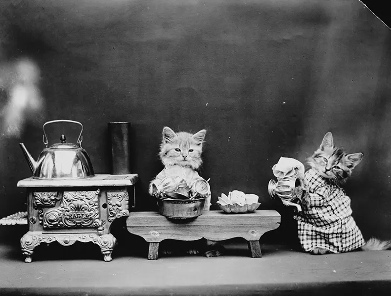 vintage baby animal photos by Harry Frees