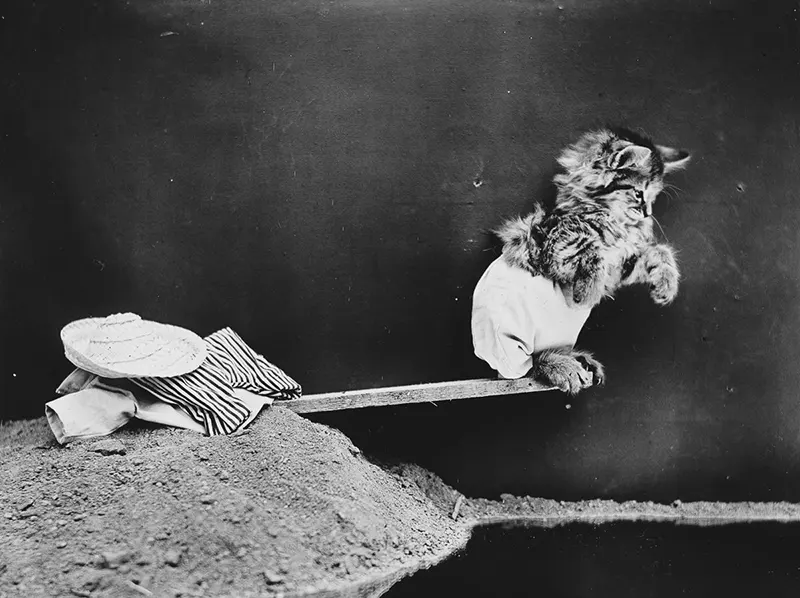 vintage baby animal photos by Harry Frees