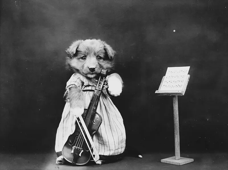 vintage baby animal photos by Harry Frees