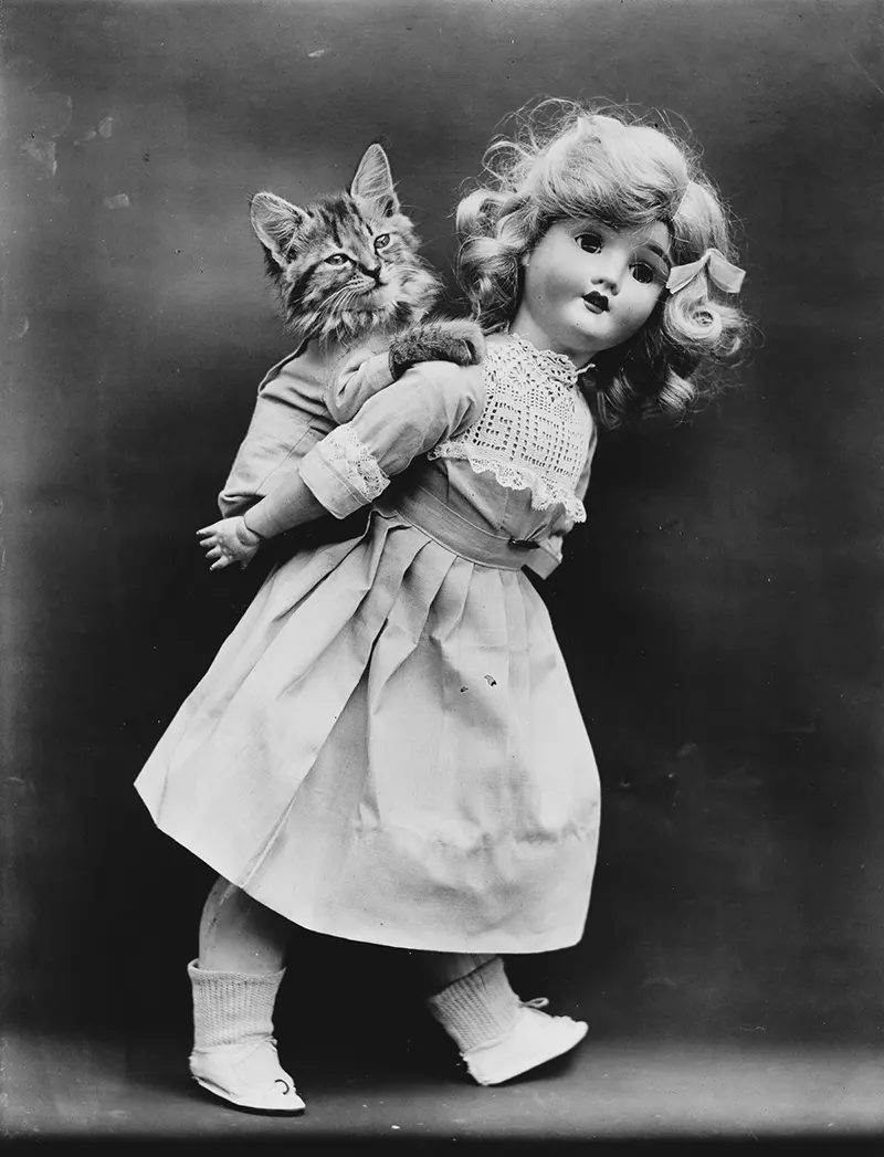 vintage baby animal photos by Harry Frees