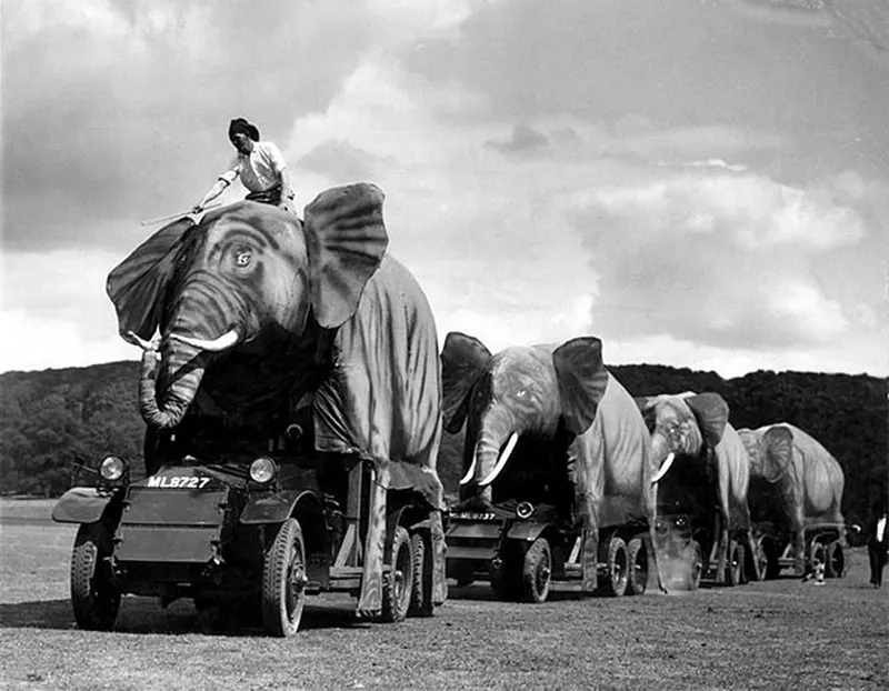 vintage bizarre historical photos