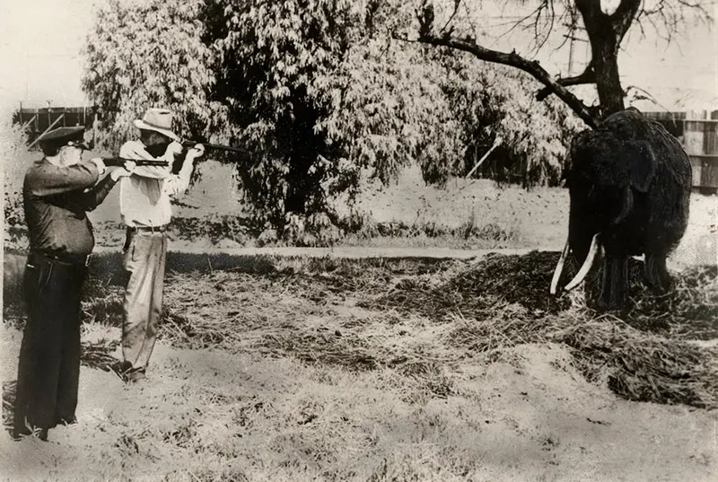 vintage bizarre historical photos