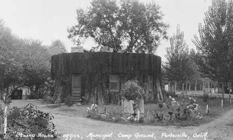 vintage photos tree stumps houses