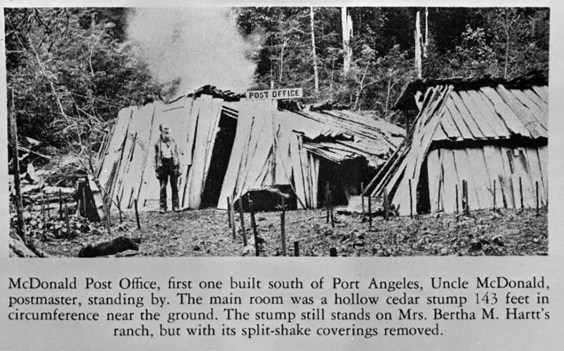 vintage photos tree stumps houses
