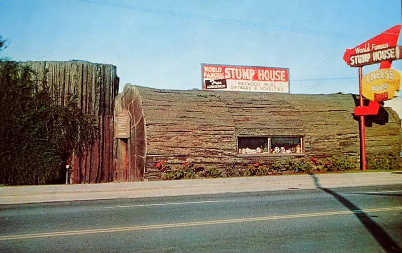 vintage photos tree stumps houses