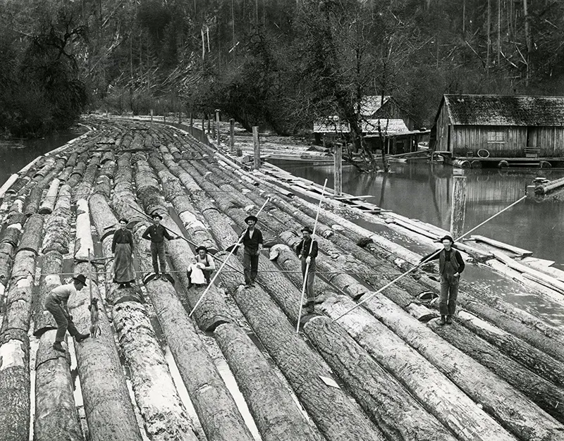 vintage photos tree stumps houses