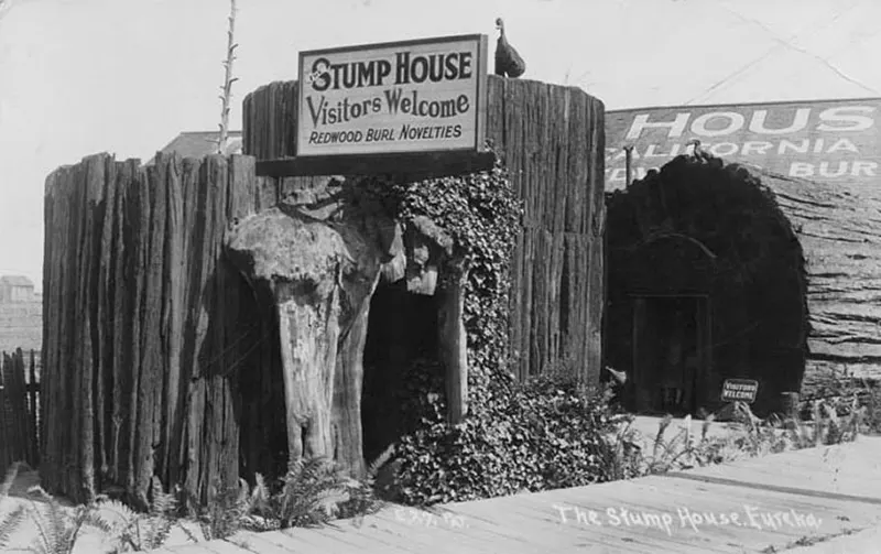 vintage photos tree stumps houses