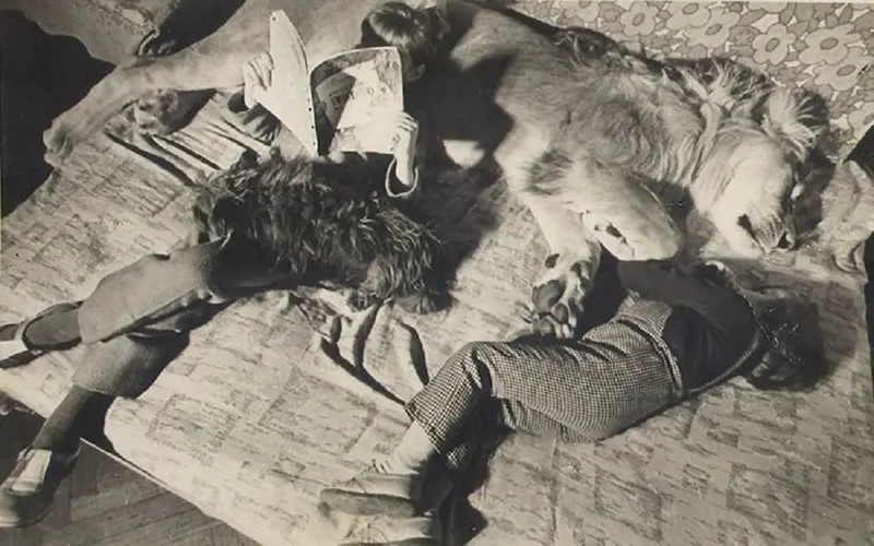 The Tragic Story of the Berberovs, a Soviet Family Who Raised Pet Lions at Home