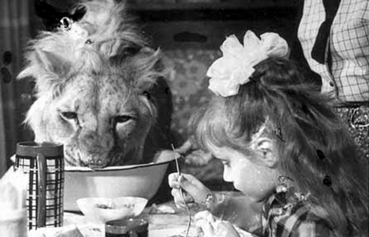 The Tragic Story of the Berberovs, a Soviet Family Who Raised Pet Lions at Home