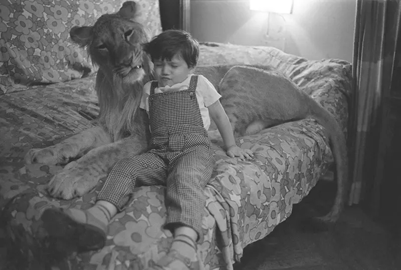 The Tragic Story of the Berberovs, a Soviet Family Who Raised Pet Lions at Home