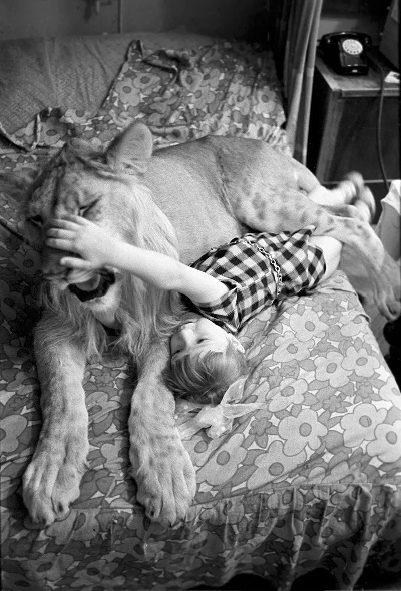 The Tragic Story of the Berberovs, a Soviet Family Who Raised Pet Lions at Home