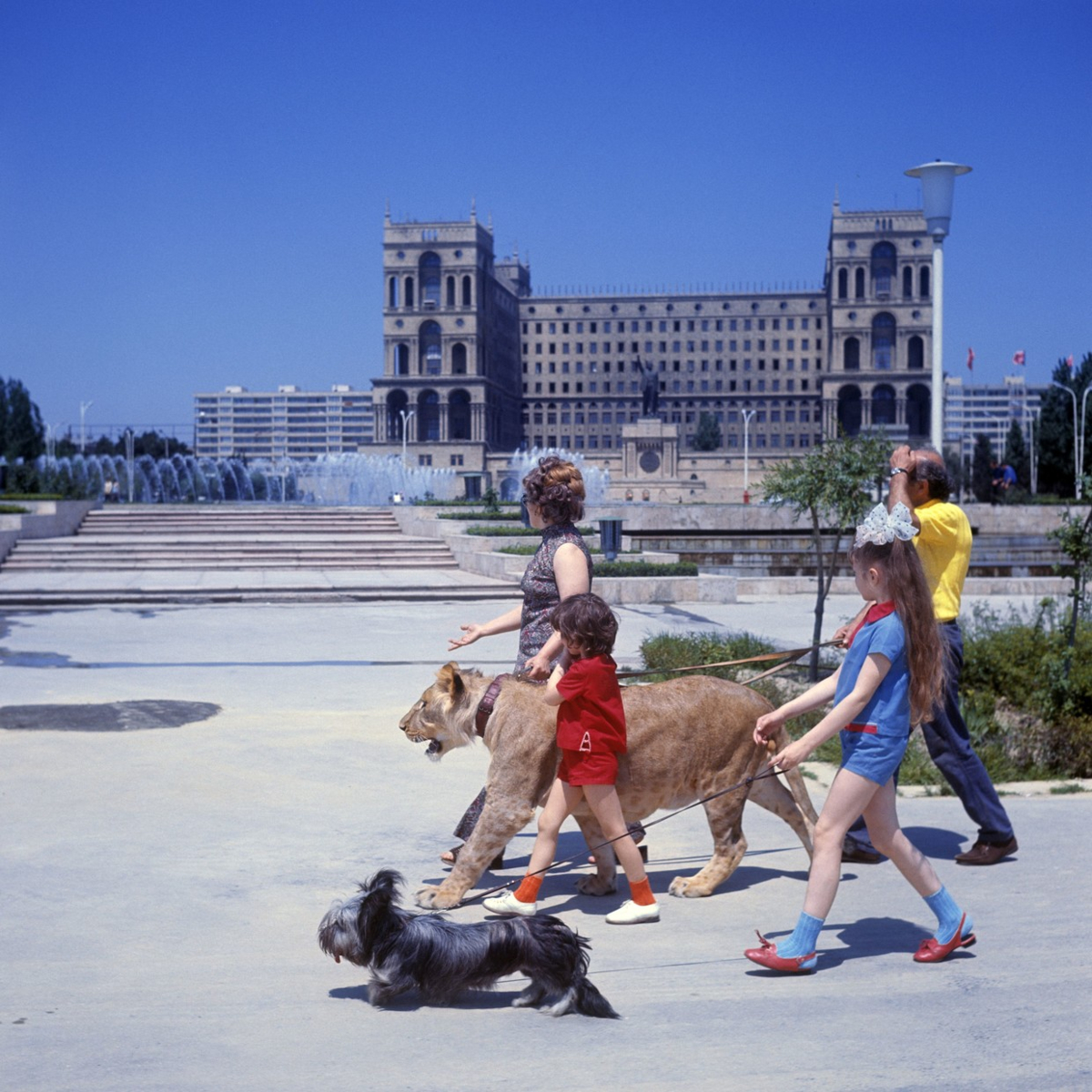 The Tragic Story of the Berberovs, a Soviet Family Who Raised Pet Lions at Home