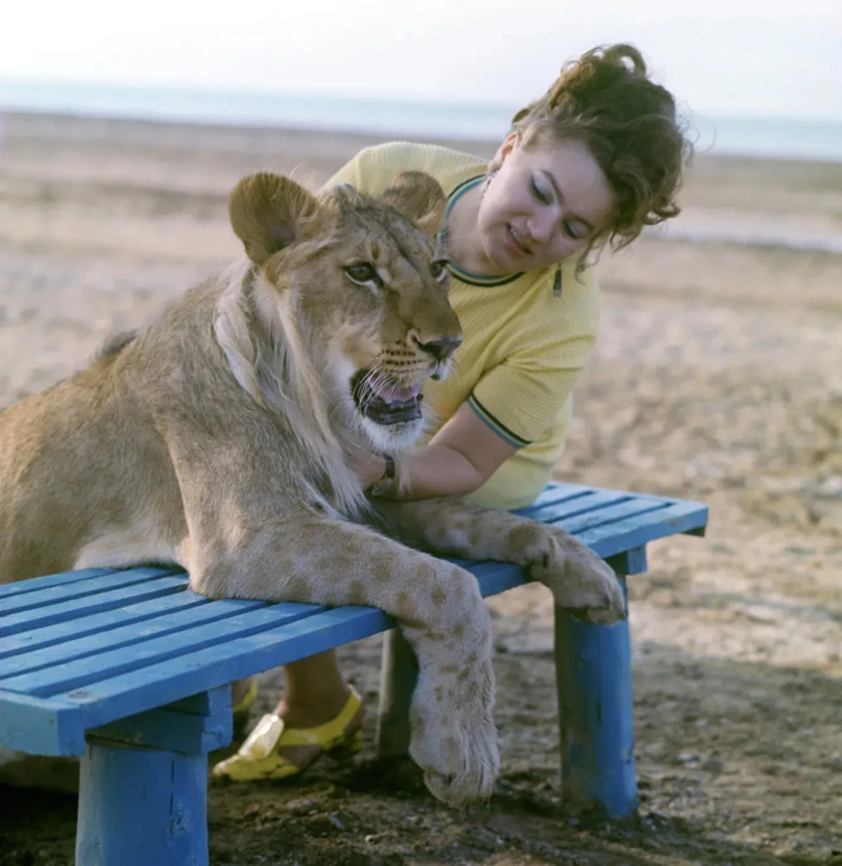 The Tragic Story of the Berberovs, a Soviet Family Who Raised Pet Lions at Home