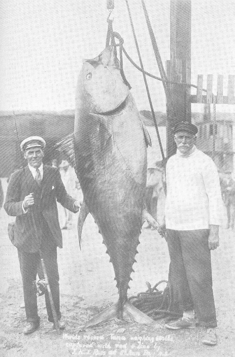 People Posing With Their Big Fishes in the Past