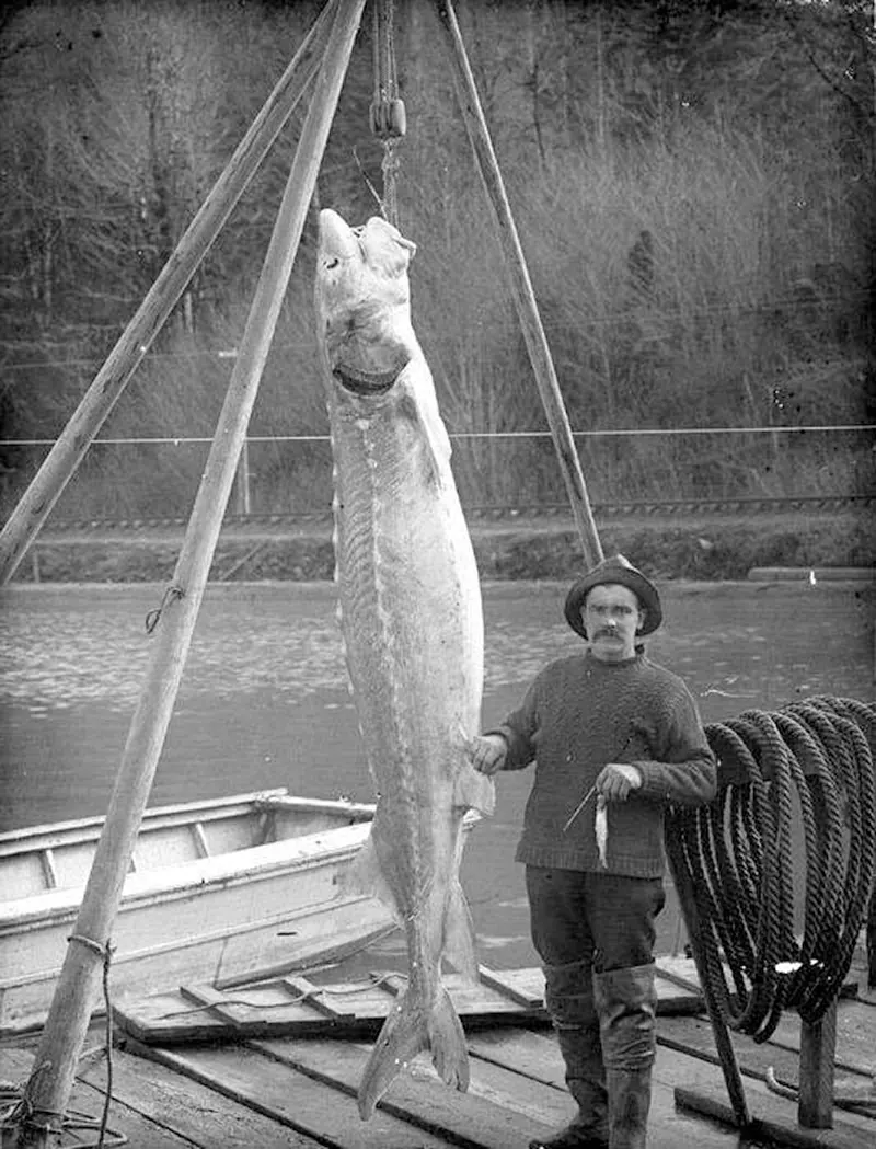 People Posing With Their Big Fishes in the Past
