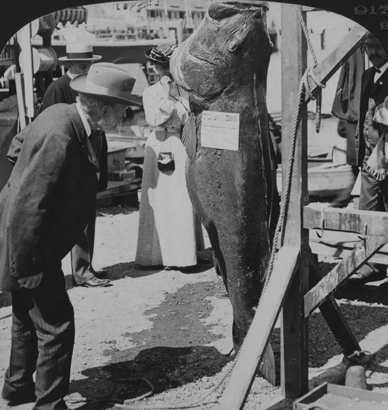 People Posing With Their Big Fishes in the Past