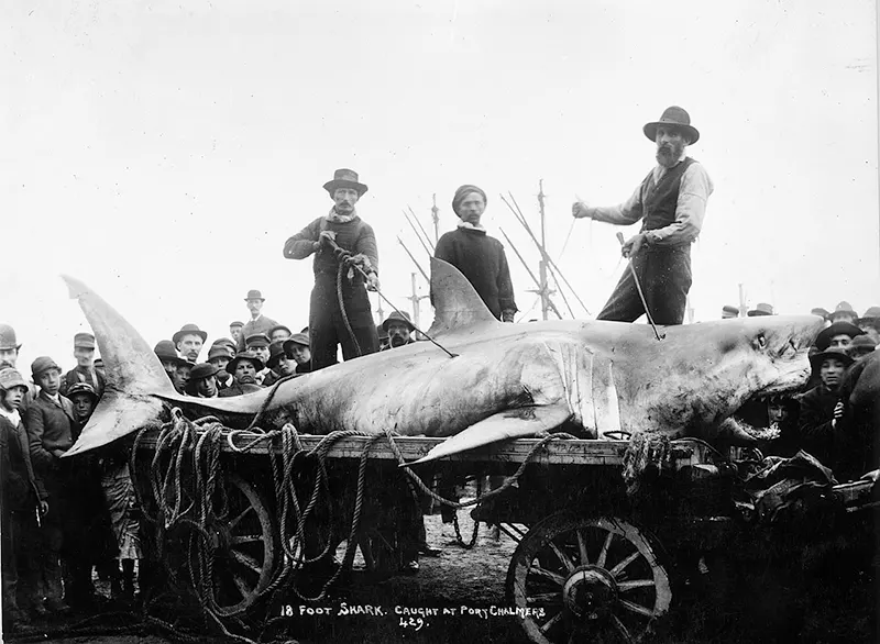 People Posing With Their Big Fishes in the Past