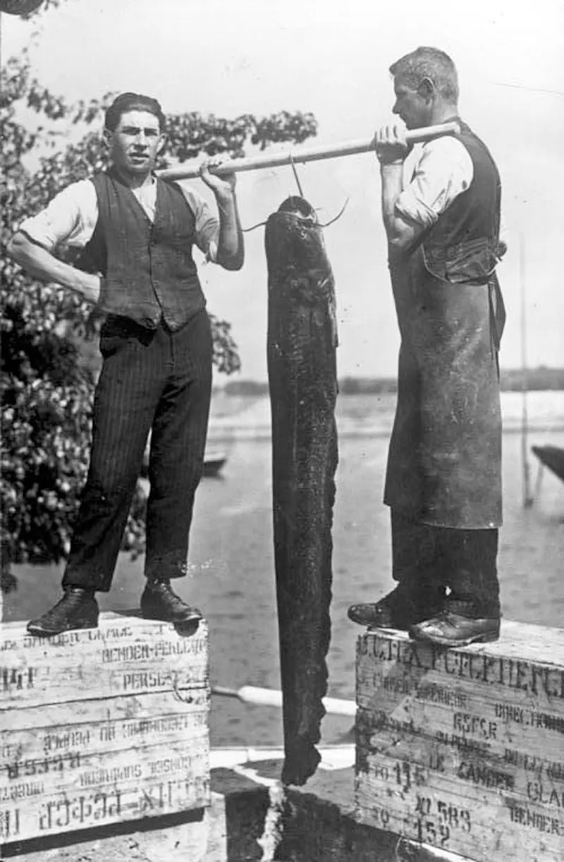 People Posing With Their Big Fishes in the Past