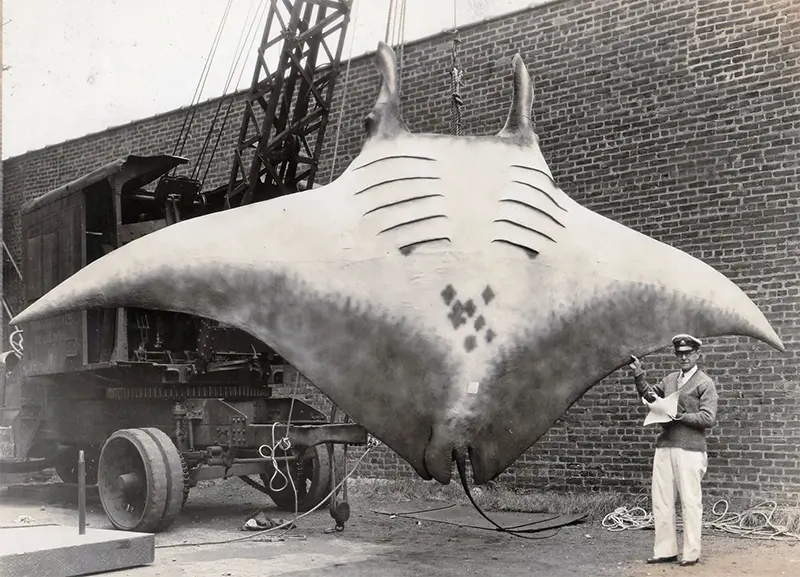 People Posing With Their Big Fishes in the Past