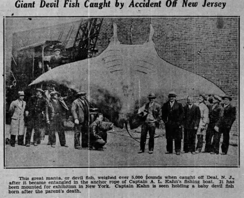 People Posing With Their Big Fishes in the Past