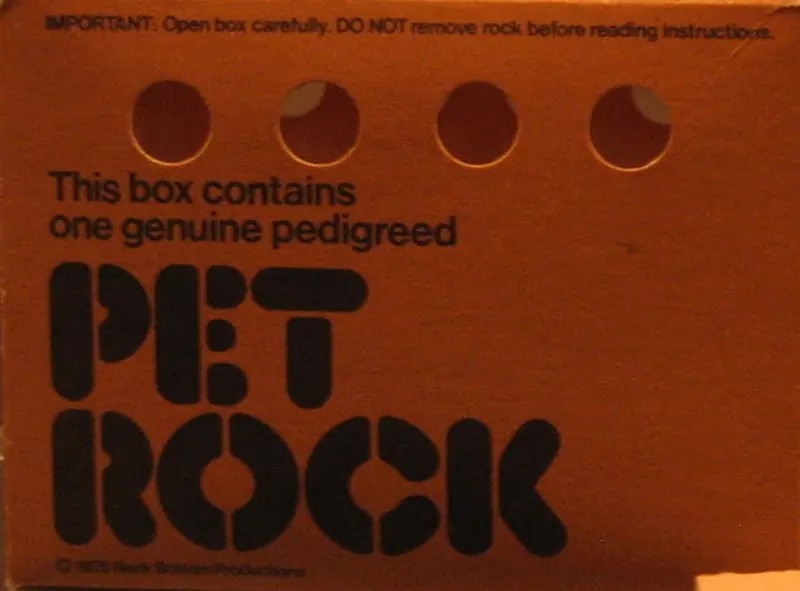 pet rock vintage photos