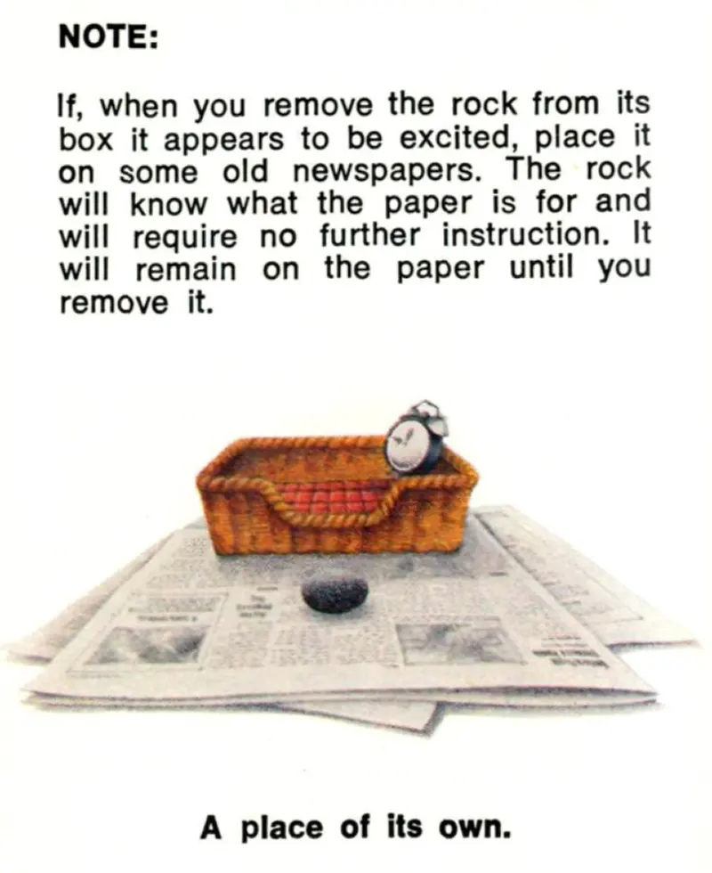 pet rock vintage photos