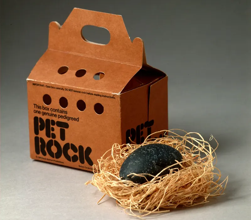 pet rock vintage photos