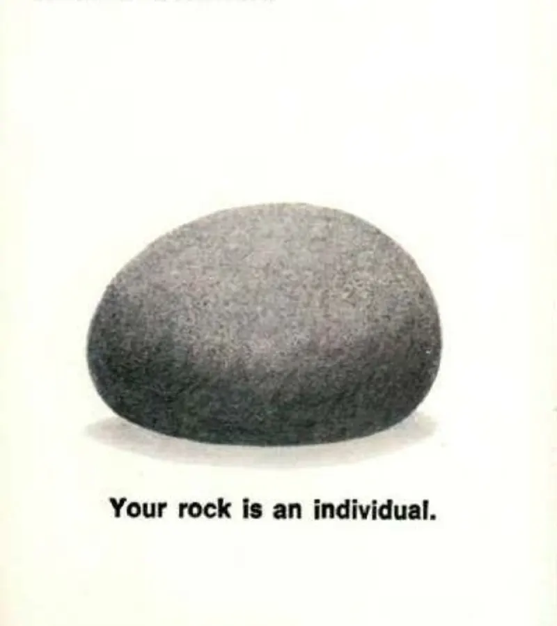 pet rock vintage photos