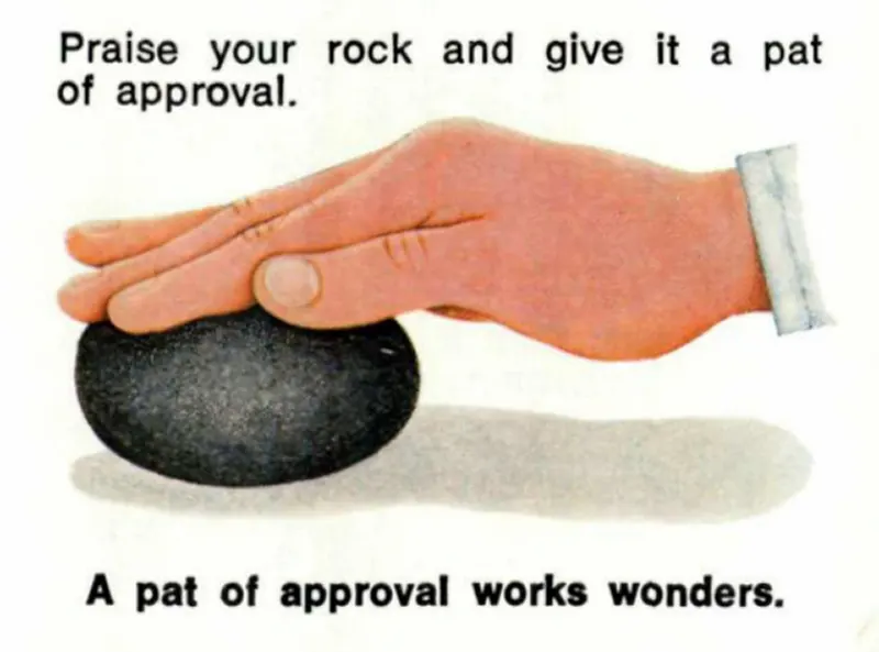 pet rock vintage photos