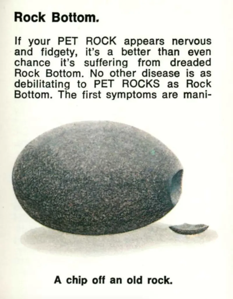 pet rock vintage photos