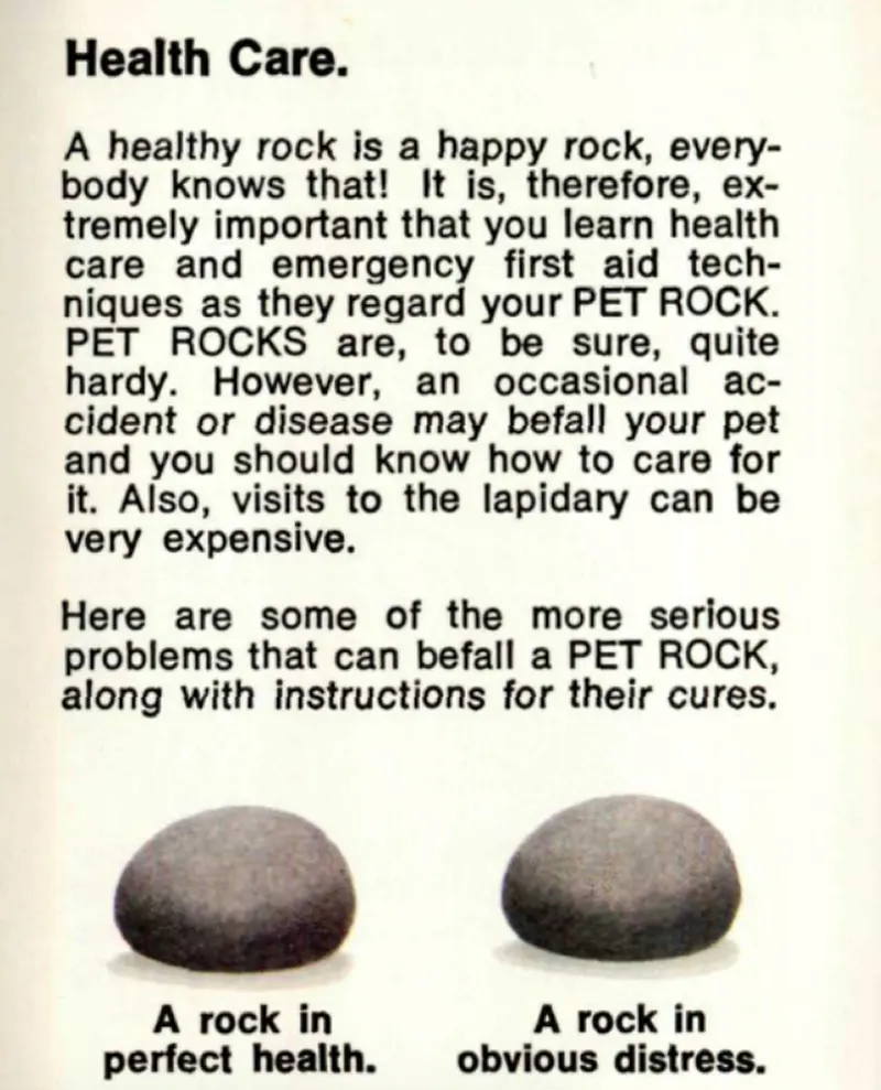 pet rock vintage photos