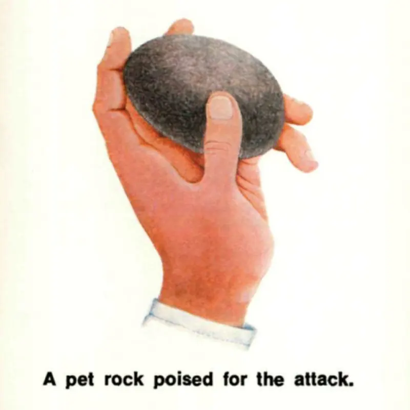 pet rock vintage photos