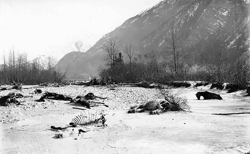 Klondike Gold Rush old photos