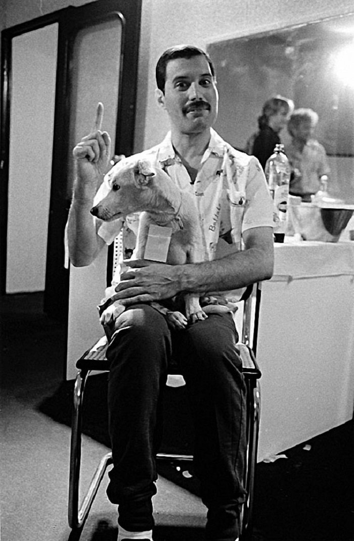 Freddie Mercury Old Photos