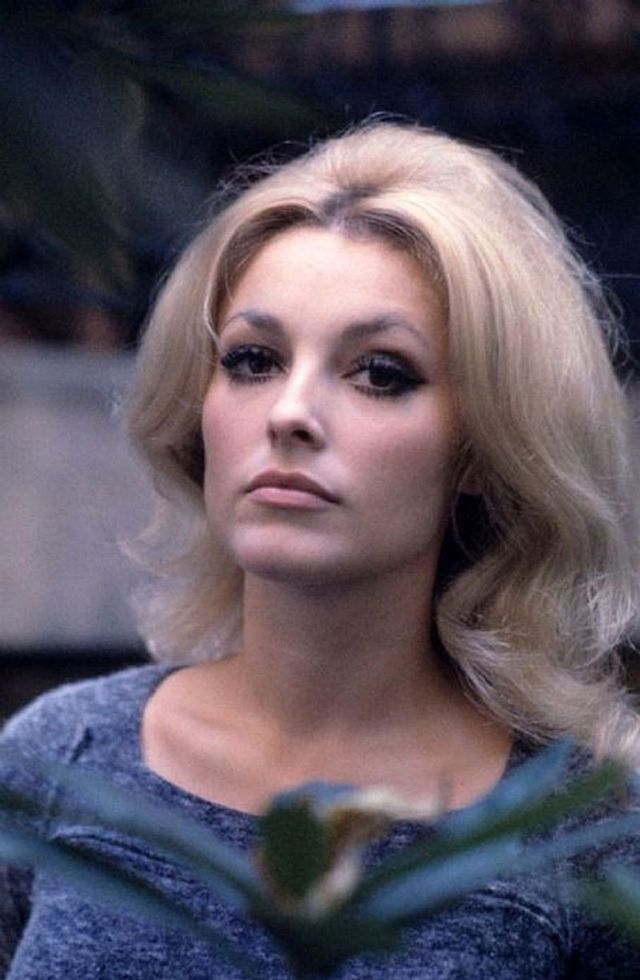 Sharon Tate Photos