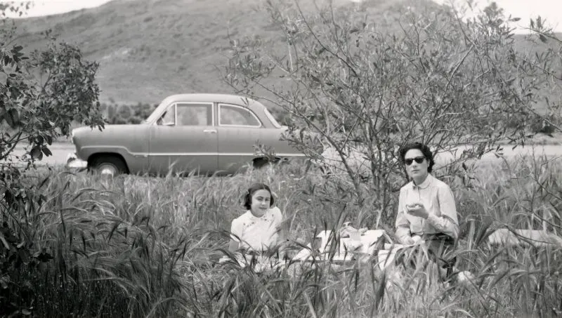 Picnic People Old Photos 