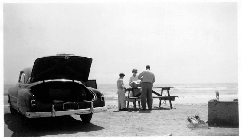 Picnic People Old Photos 